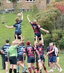 gp5f2491.jpg - JPEG - 838 ko - 2000×2268 px