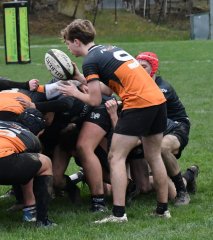 dsc_4609-3.jpg - JPEG - 372.7 ko - 1500×1695 px