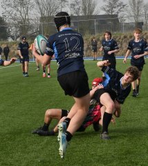 dsc_0850-8.jpg - JPEG - 530.6 ko - 1500×1688 px