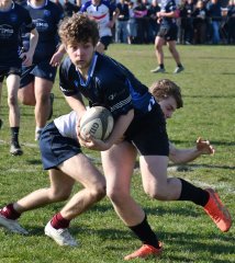 dsc_1184-3.jpg - JPEG - 473.1 ko - 1500×1683 px