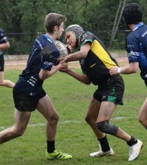 dsc_2092-2.jpg - JPEG - 331 ko - 1500×1683 px