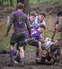 _nz87440.jpg - JPEG - 346.2 ko - 1024×1147 px