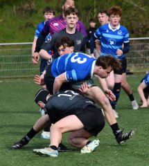 dsc_1377-3.jpg - JPEG - 508.4 ko - 2000×2240 px