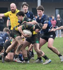 dsc_1955-2.jpg - JPEG - 344.6 ko - 1500×1681 px