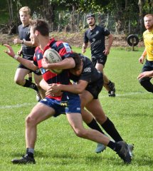 dsc_3161.jpg - JPEG - 548.1 ko - 1500×1677 px