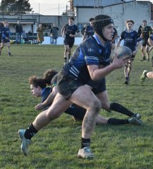 dsc_4937-2.jpg - JPEG - 639.8 ko - 1984×2199 px