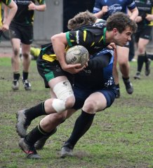 dsc_1892-2.jpg - JPEG - 369.3 ko - 1500×1655 px