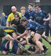 dsc_1931-2.jpg - JPEG - 322.1 ko - 1500×1657 px