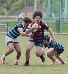 gp5f3437.jpg - JPEG - 628.6 ko - 2000×2199 px