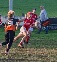 dsc_1241-4.jpg - JPEG - 488.9 ko - 1500×1641 px