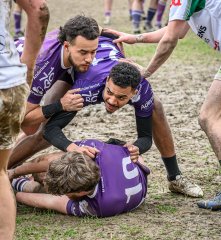 _nz81174-avec_accentuation-bruit.jpg - JPEG - 399.1 ko - 1024×1113 px