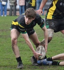 dsc_1980-3.jpg - JPEG - 340.1 ko - 1500×1635 px