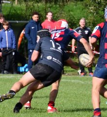 dsc_3103-4.jpg - JPEG - 296.2 ko - 2000×1325 px