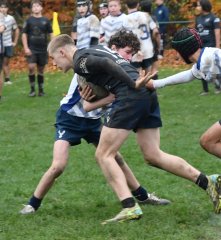 dsc_4384-3.jpg - JPEG - 548.1 ko - 2000×2178 px