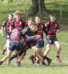 gp5f4046-2.jpg - JPEG - 712.5 ko - 2000×2178 px