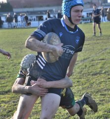 dsc_4922-2.jpg - JPEG - 541.6 ko - 3361×3640 px