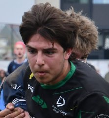 dsc_2029-3.jpg - JPEG - 225.2 ko - 1500×1621 px