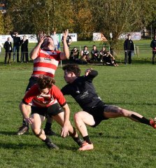 dsc_4102.jpg - JPEG - 220.6 ko - 2000×1325 px