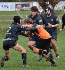 dsc_4550-3.jpg - JPEG - 322.9 ko - 1500×1618 px