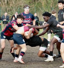 gp5f6856.jpg - JPEG - 623.7 ko - 2000×2143 px