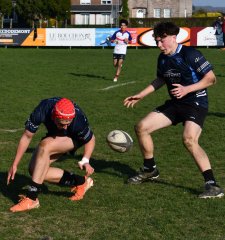 dsc_1283-4.jpg - JPEG - 497.4 ko - 1500×1604 px