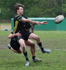 dsc_2014-4.jpg - JPEG - 339.2 ko - 1500×1603 px