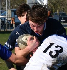 dsc_1209-3.jpg - JPEG - 263.9 ko - 1500×1580 px