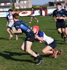 dsc_1282-5.jpg - JPEG - 545.8 ko - 1500×1585 px