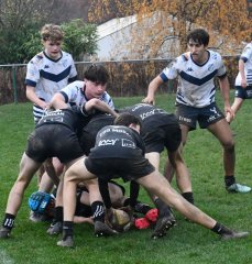 dsc_4448-5.jpg - JPEG - 732.9 ko - 2000×2104 px