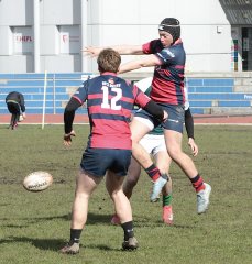 gp5f1740.jpg - JPEG - 637 ko - 2000×2104 px