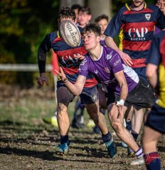 _nz86950.jpg - JPEG - 310.1 ko - 1024×1062 px