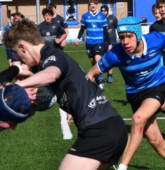 dsc_1441-2.jpg - JPEG - 586.5 ko - 2000×2069 px