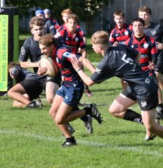 dsc_3224-2.jpg - JPEG - 527.4 ko - 2000×1325 px