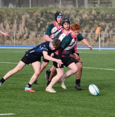 dsc_0878-2.jpg - JPEG - 397 ko - 1500×1542 px