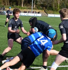 dsc_1423.jpg - JPEG - 737.2 ko - 2000×2042 px