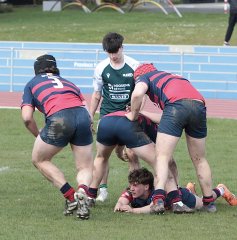 gp5f1844.jpg - JPEG - 569.7 ko - 2000×2032 px