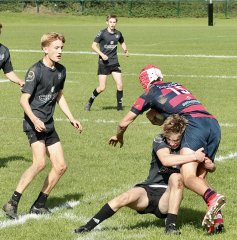 gp5f3883.jpg - JPEG - 829.7 ko - 2000×2029 px