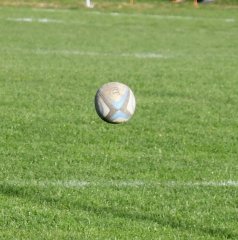 dsc_4045-5.jpg - JPEG - 565.8 ko - 2000×1325 px