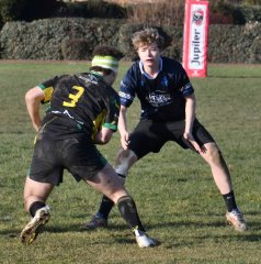 dsc_4862-3.jpg - JPEG - 429.8 ko - 1960×1983 px