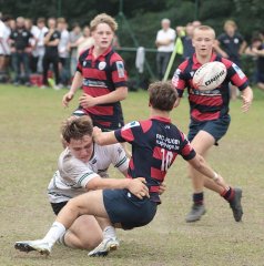 gp5f1892.jpg - JPEG - 566.4 ko - 2000×2021 px