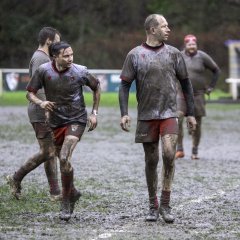 dsc02406-avec_accentuation-bruit.jpg - JPEG - 609.9 ko - 2000×2000 px