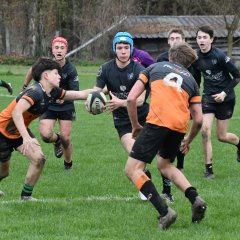 dsc_4602-3.jpg - JPEG - 405.6 ko - 1500×1504 px