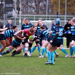 img_1309.jpg - JPEG - 607.6 ko - 2000×2000 px