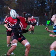 img_2007-2.jpg - JPEG - 511.5 ko - 2000×2000 px