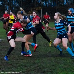 img_2033-3.jpg - JPEG - 666.5 ko - 2000×2000 px