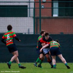 img_3803.jpg - JPEG - 555.8 ko - 2000×2000 px