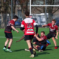 img_4561.jpg - JPEG - 655.7 ko - 2000×2000 px