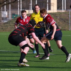 img_4903-3.jpg - JPEG - 555.6 ko - 2000×2000 px