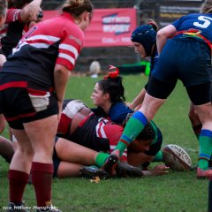 img_4908.jpg - JPEG - 142.4 ko - 1500×1000 px