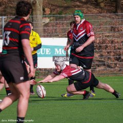 img_4911-2.jpg - JPEG - 607.8 ko - 2000×2000 px